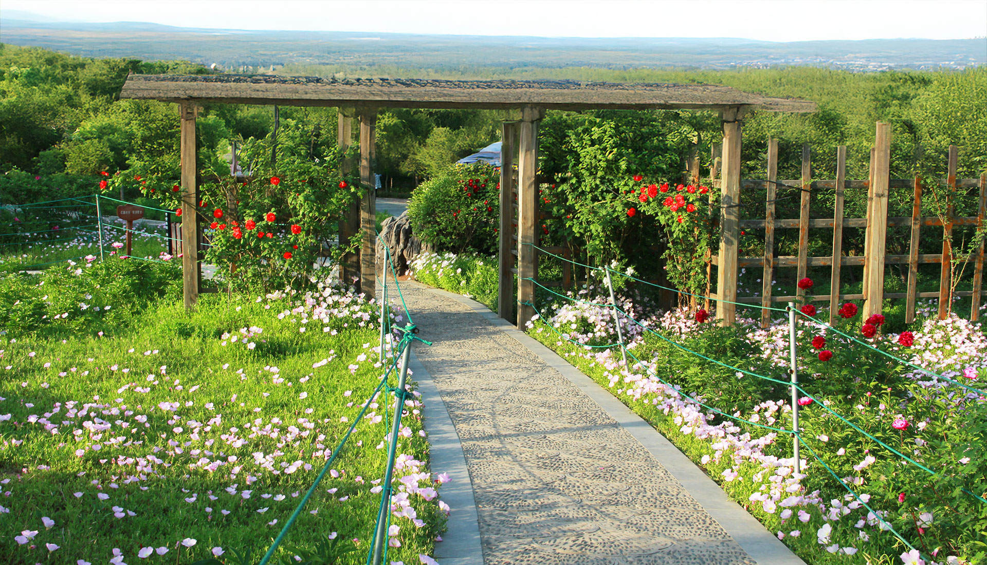 Gartengestaltung_Ergebnis_GFP_Zieger