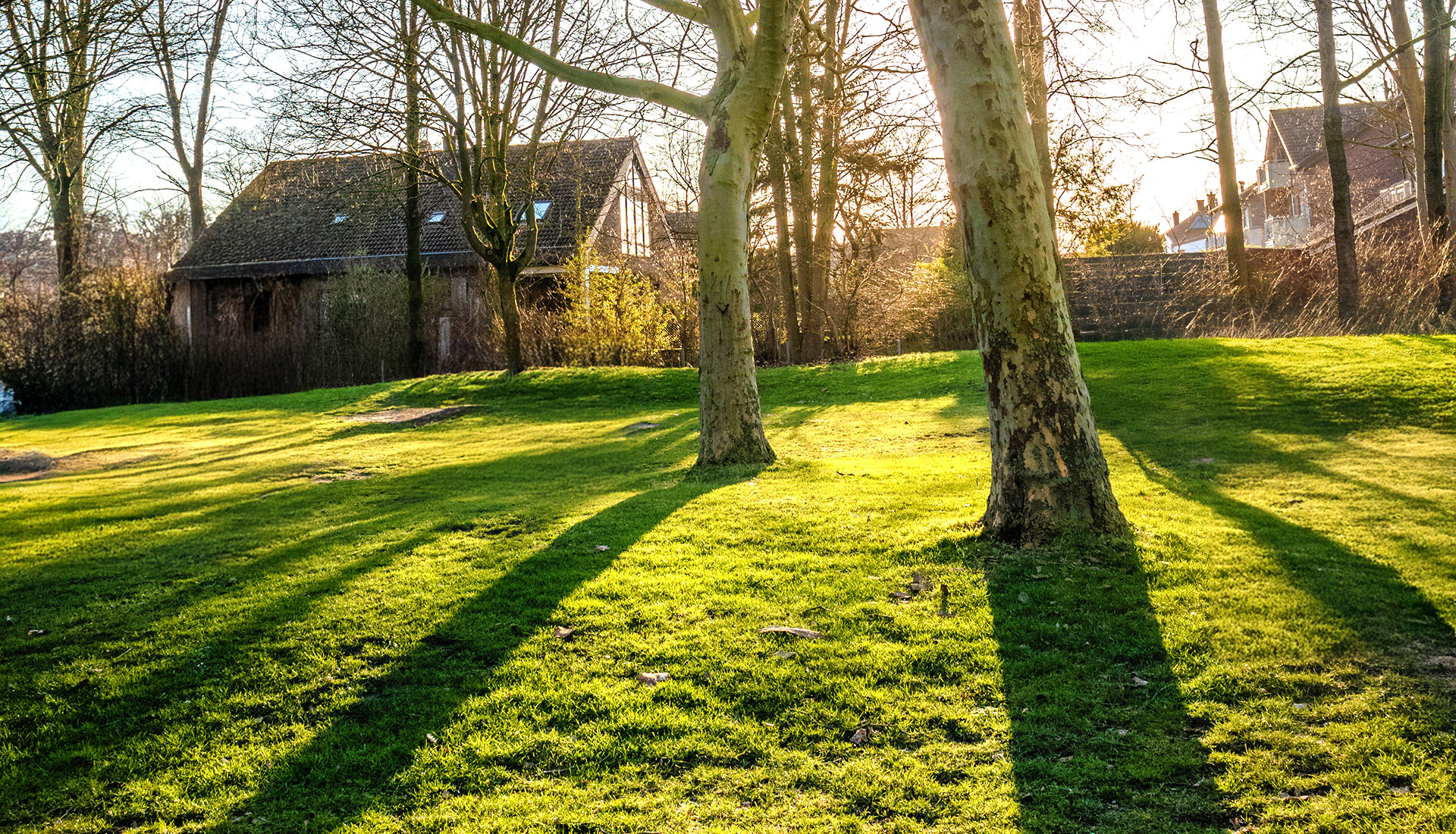 Wiese_Garten_GFP_Zieger